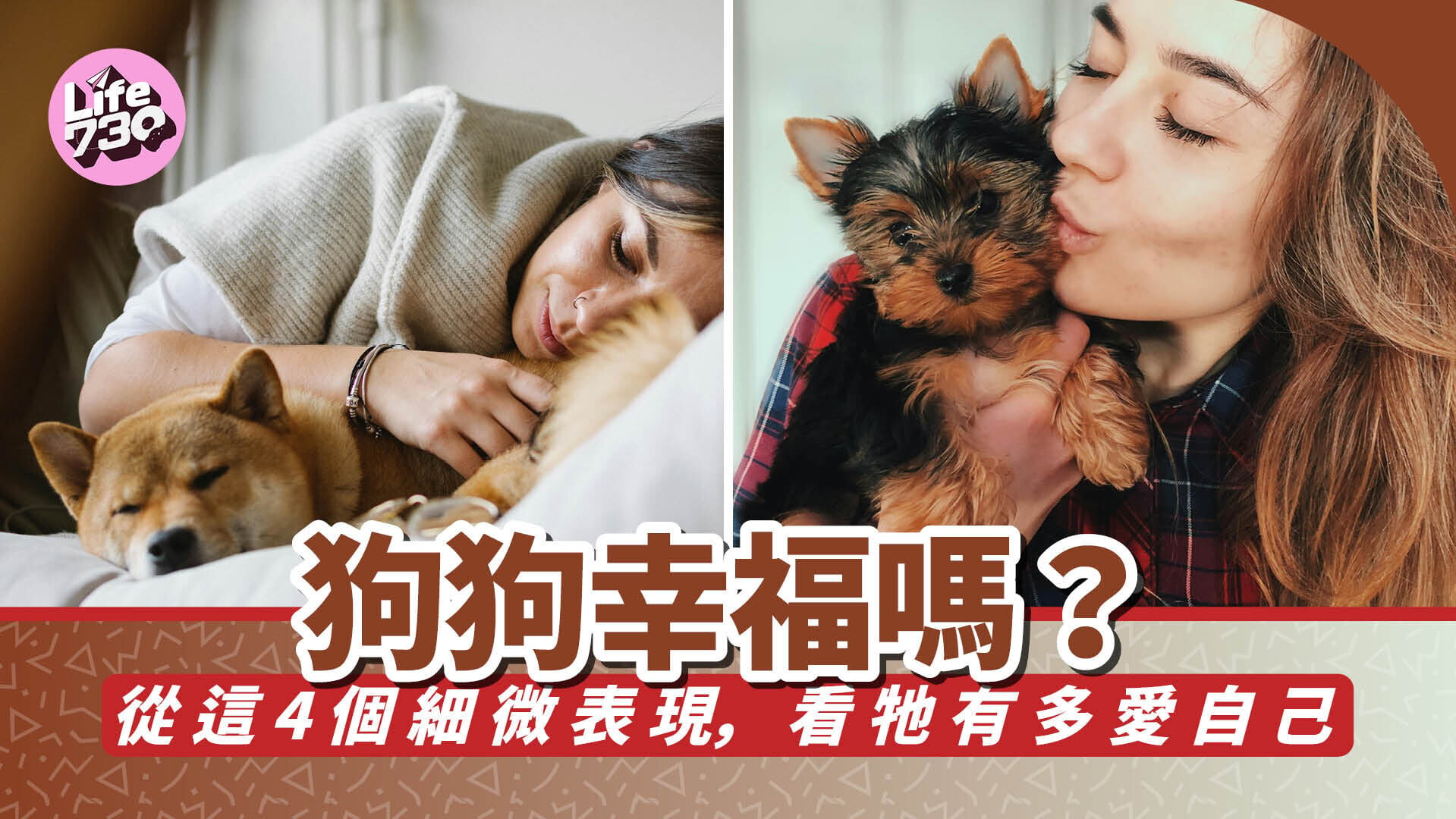 狗狗幸福嗎？從這 4 個細微表現，看牠有多愛自己