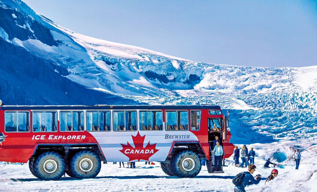 安排乘坐巨型雪車登上哥倫比亞冰川。
