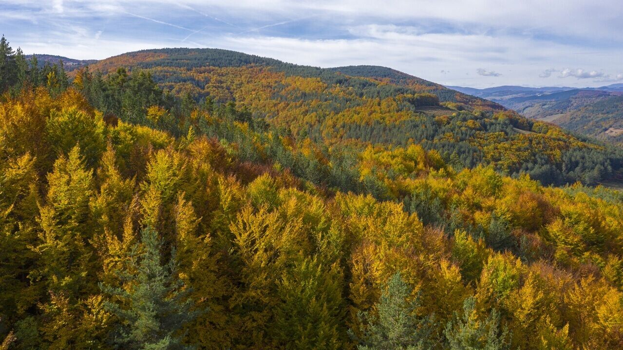 Navarra Selva de Irati