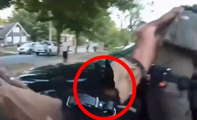 領犬員指示警犬撕咬David腿部。(X)