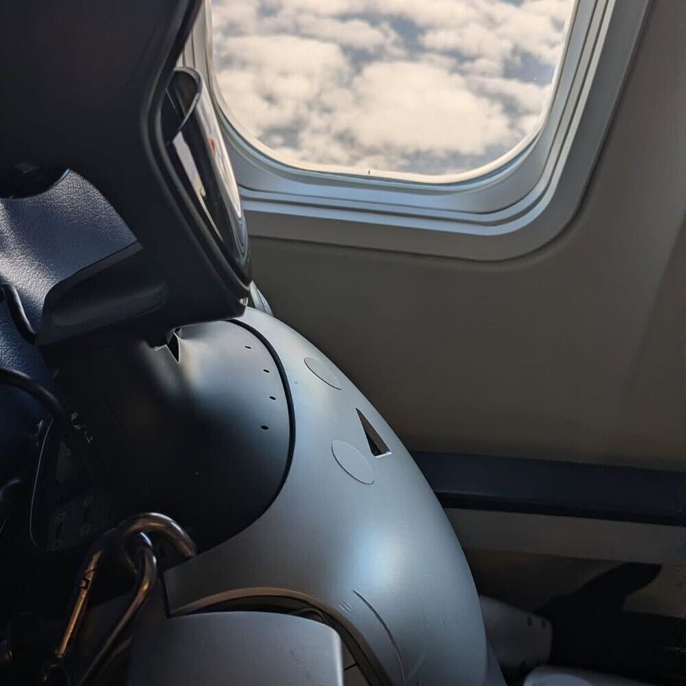 Bebop在機上「沉睡」無緣觀賞高空景色。(IG)