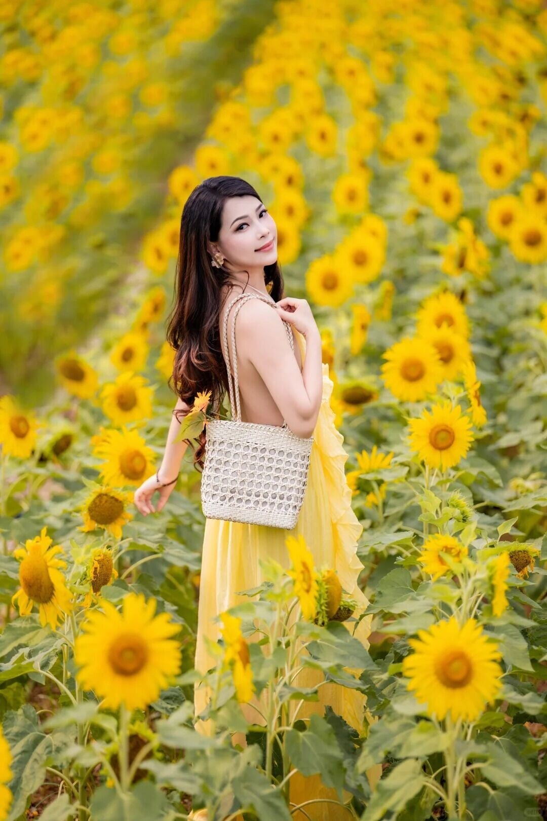 這個夏天,總要看一次向日葵🌻 5 Joanna 来自小红书网页版