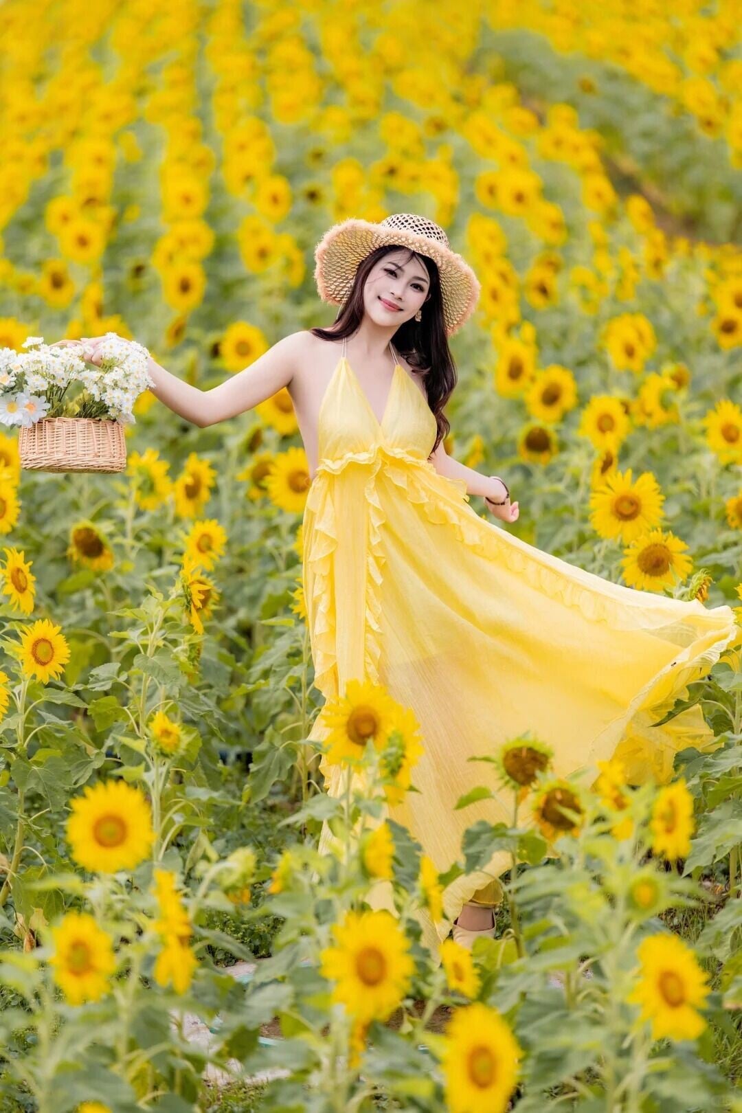 這個夏天,總要看一次向日葵🌻 2 Joanna 来自小红书网页版