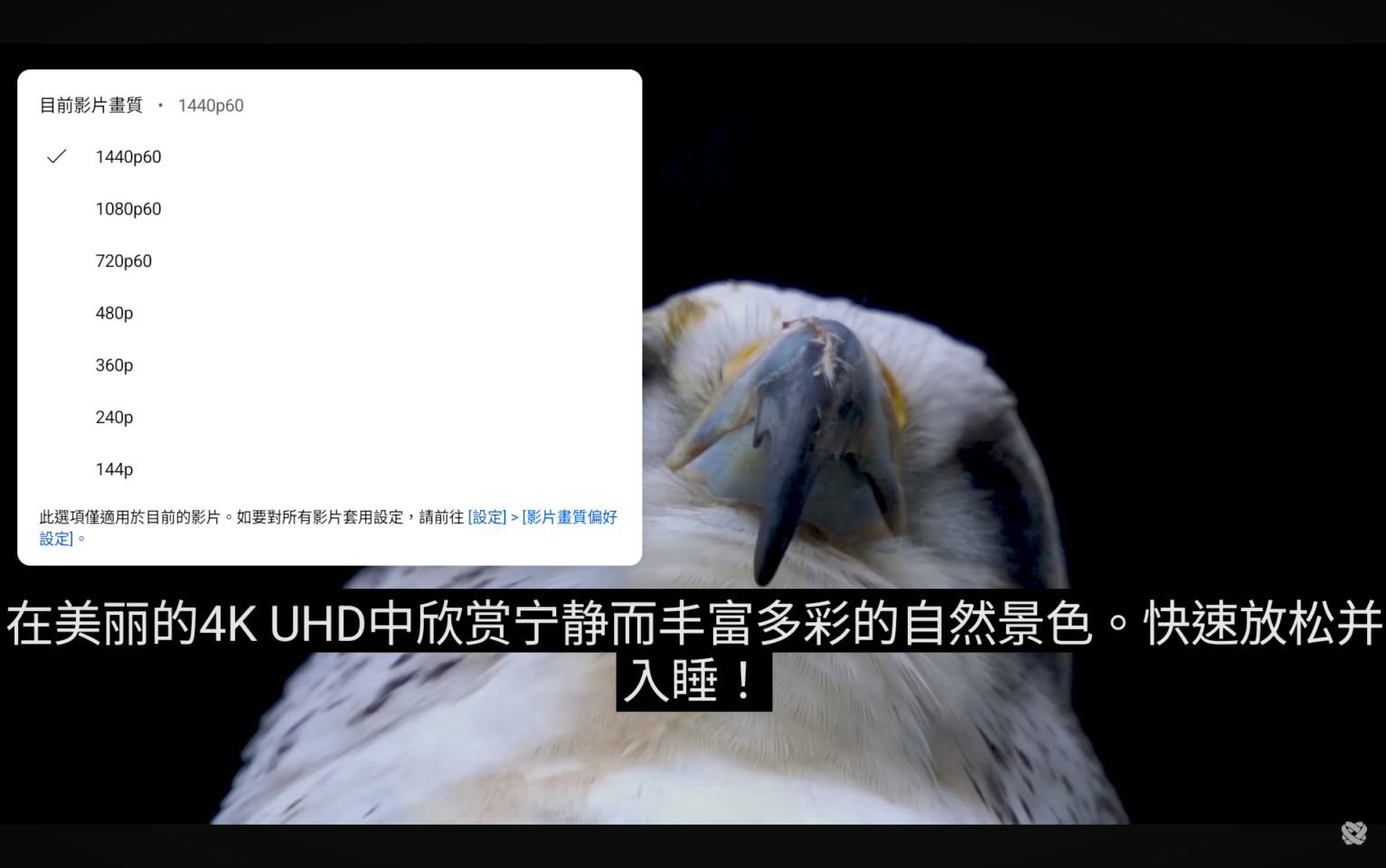 Teclast T65 Plus 4G平板電腦 |螢幕同時搭載 T-Color 6.0 色彩優化技術,色彩呈現偏向自然風格,長時間觀看較為舒適