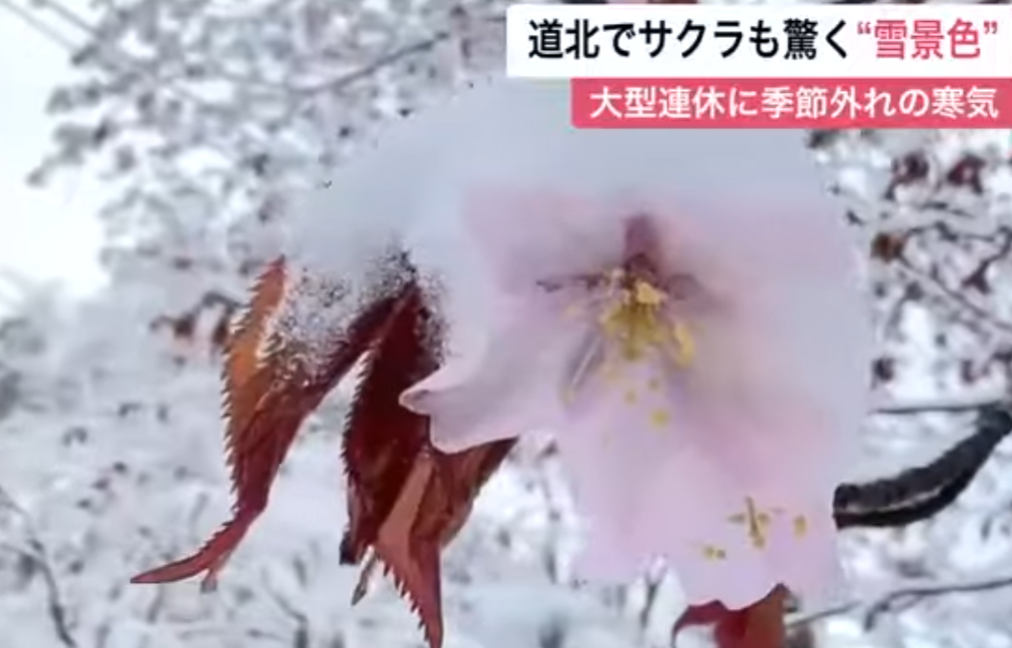 北海道