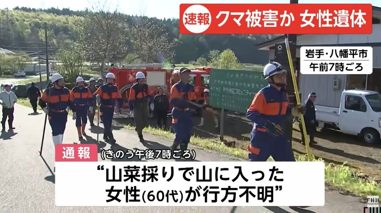 日本熊患