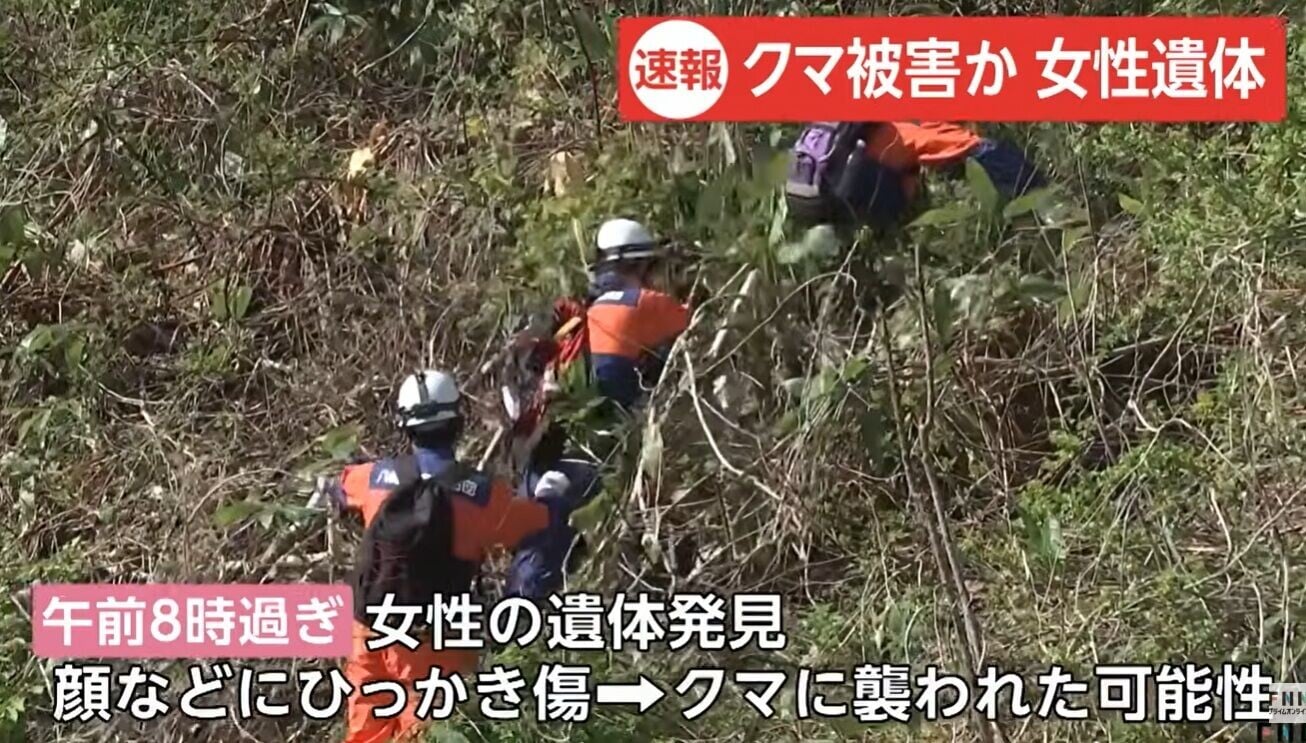 日本熊患