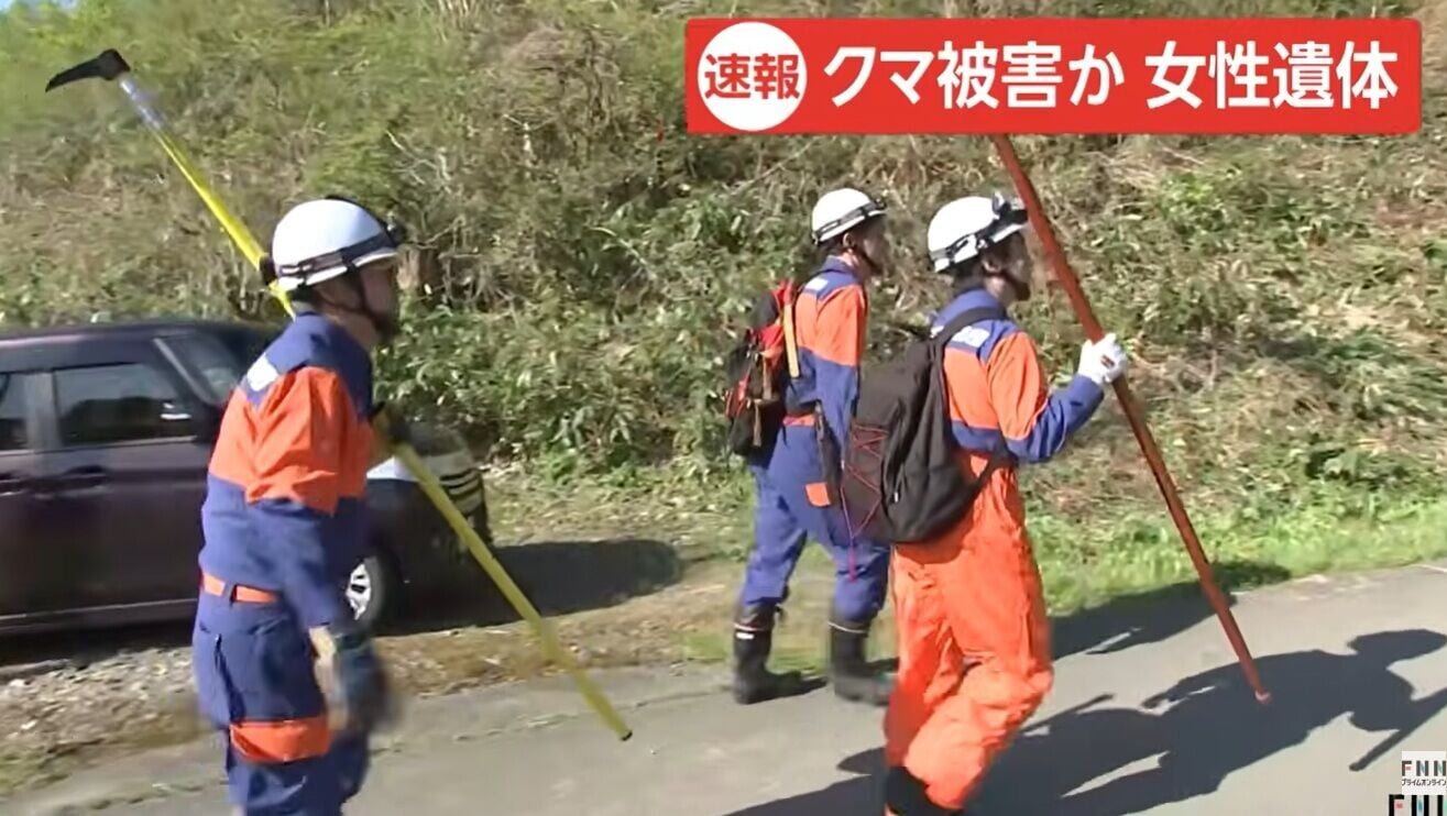 日本熊患