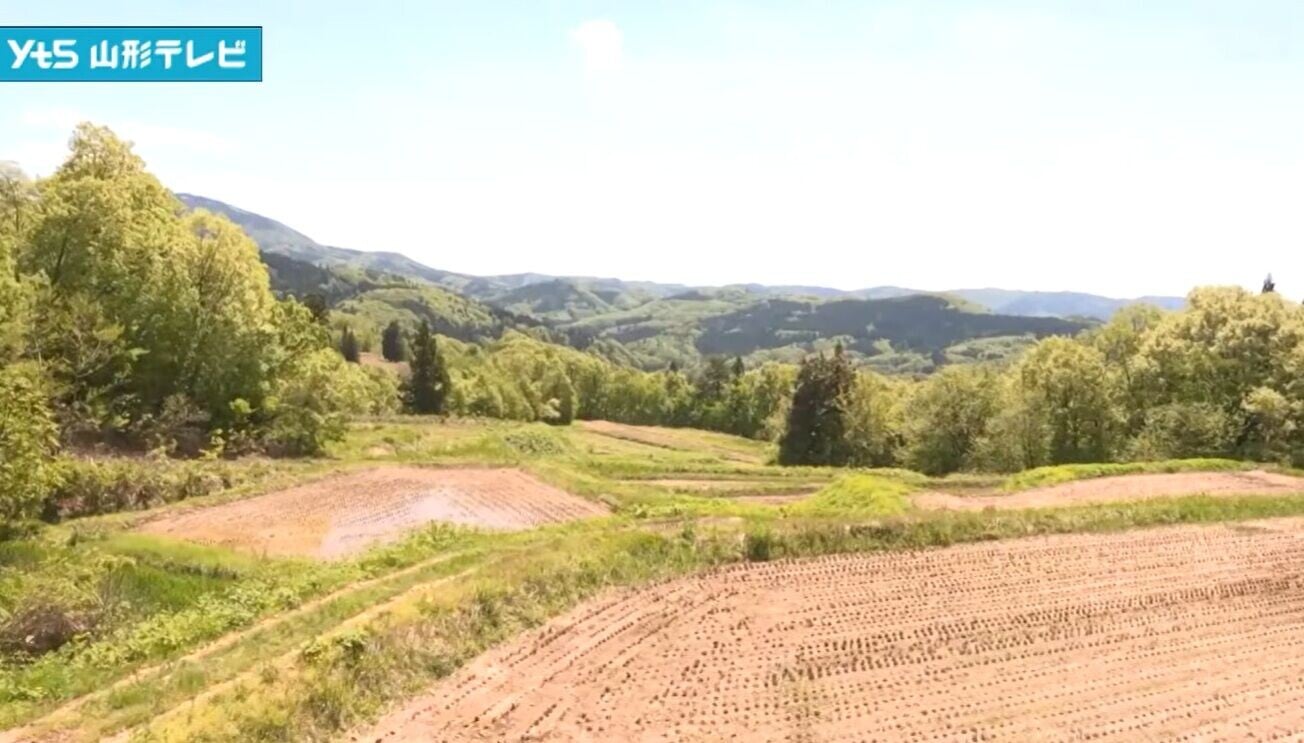 日本熊患
