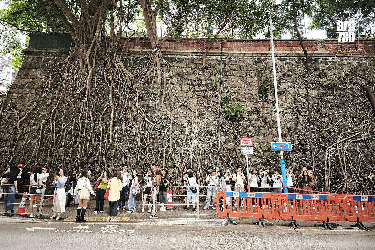 堅尼地城「石牆樹」外的行人路,是深受內地旅客聚集拍攝海景「打卡」的位置。(資料圖片/中通社)