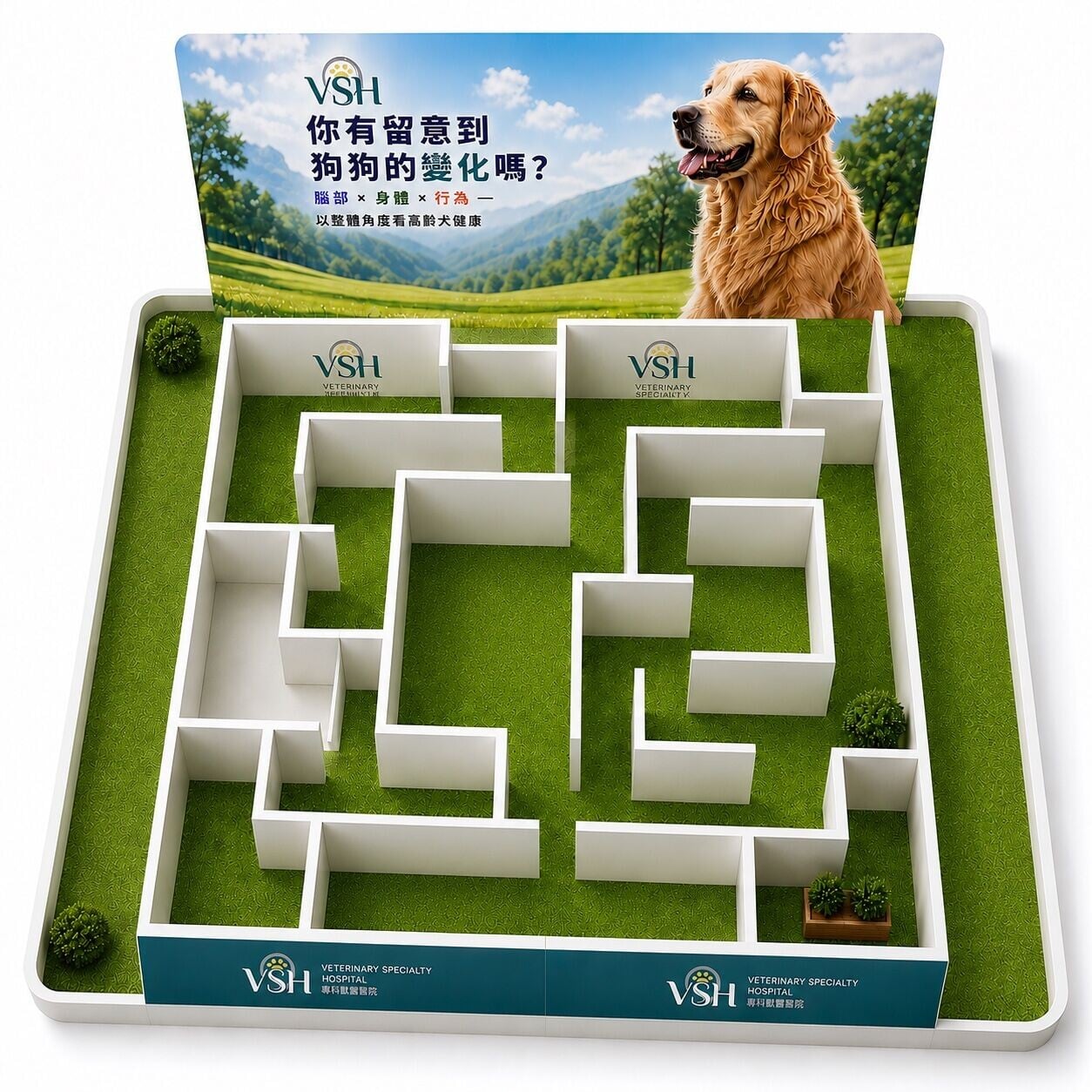 犬隻認知障礙症迷宮