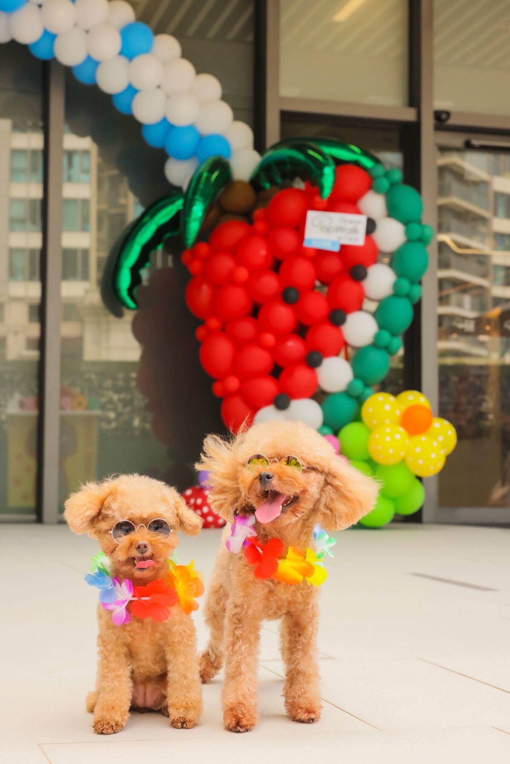 「毛孩最佳服裝賞」