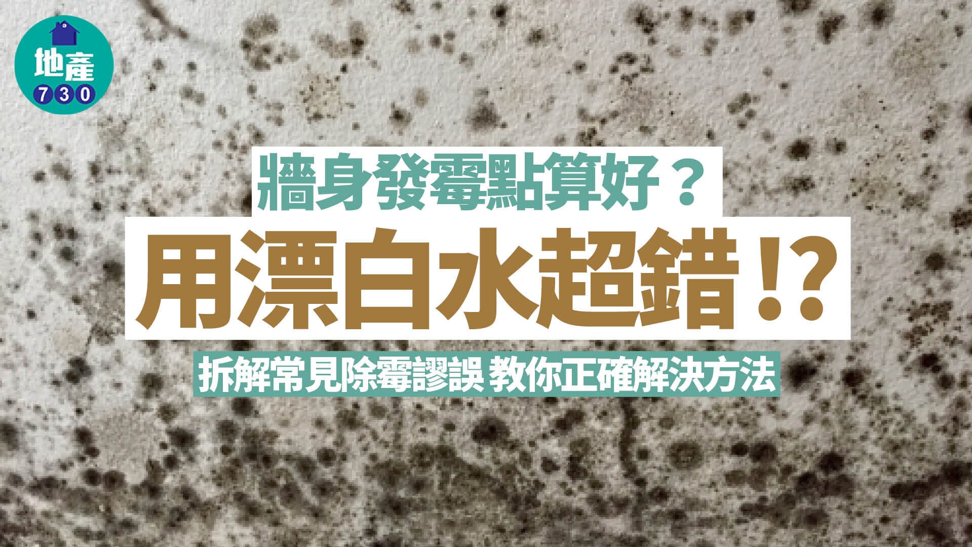 牆身發霉原因｜用漂白水梳打粉超錯? 處理方法+常見除霉禁忌