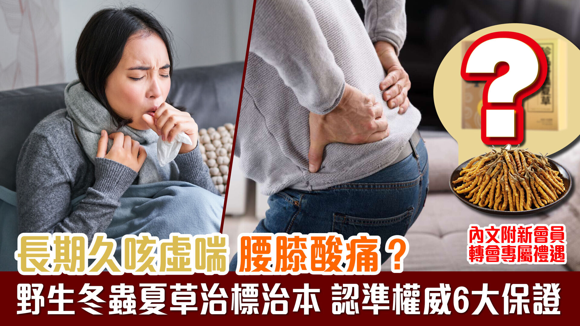 長期久咳虛喘 腰膝酸痛？ 野生冬蟲夏草治標治本 認準權威6大保證