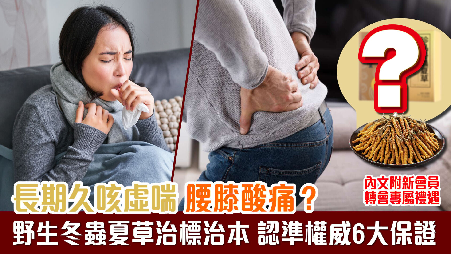 長期久咳虛喘 腰膝酸痛？ 野生冬蟲夏草治標治本 認準權威6大保證