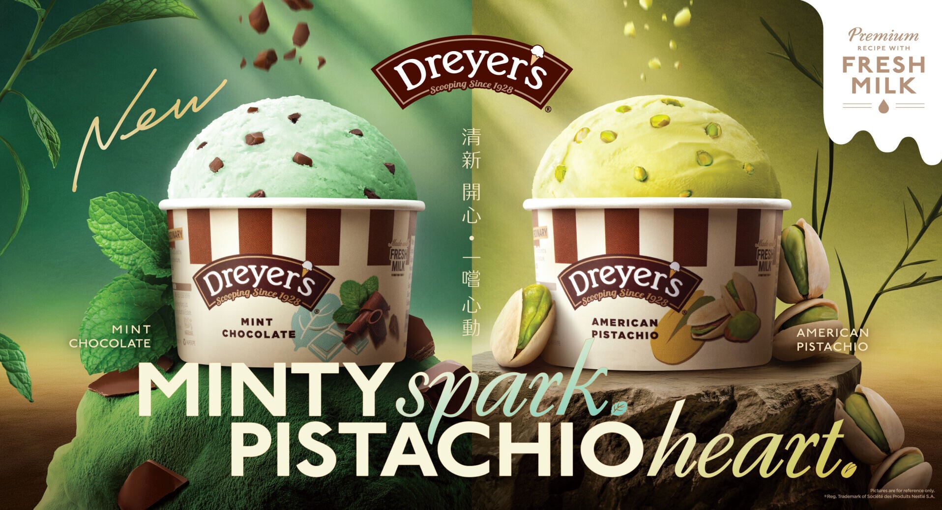 Dreyers26 Mint Chocolate & Pistachio KV B Horizontal
