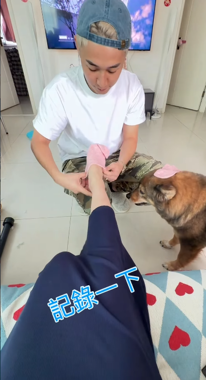 螢幕擷取畫面 2026 05 16 115634