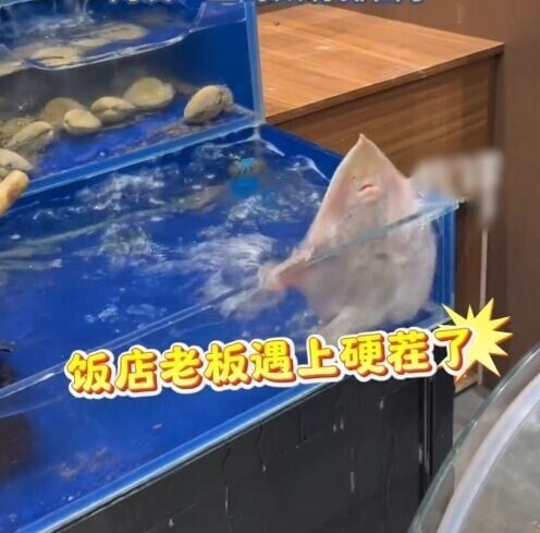 老闆說,曾經幫牠換了位置及降低水位,但牠打水的情況依然繼續。(微博)