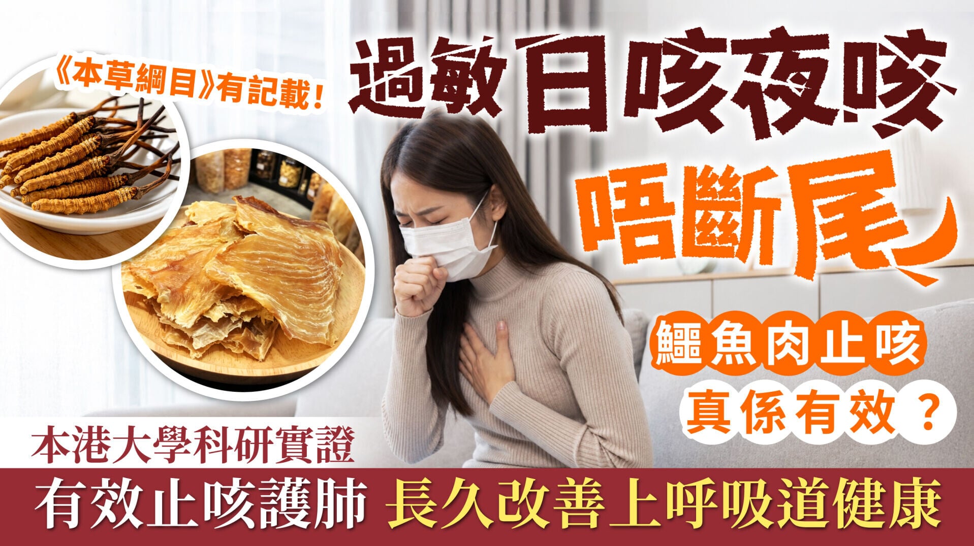 鱷肺補 EDAD V2 thumbnail