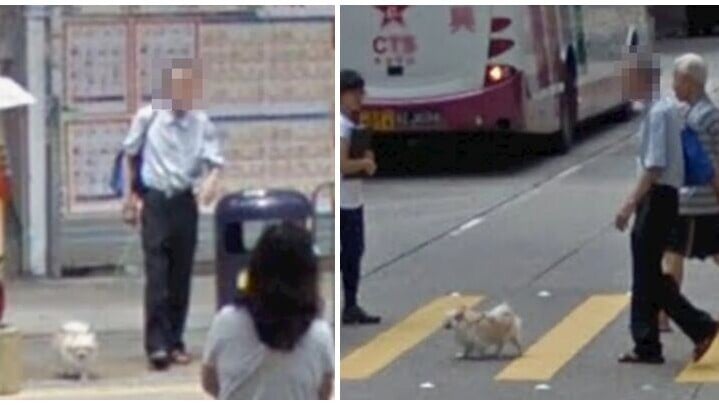 一名正在英國生活的港男稱使用Google街景服務「時間軸」功能，於2011年太子荔枝角道街頭驚喜發現爺爺拖屬於樓主的松鼠狗散步的身影。(Threads)
