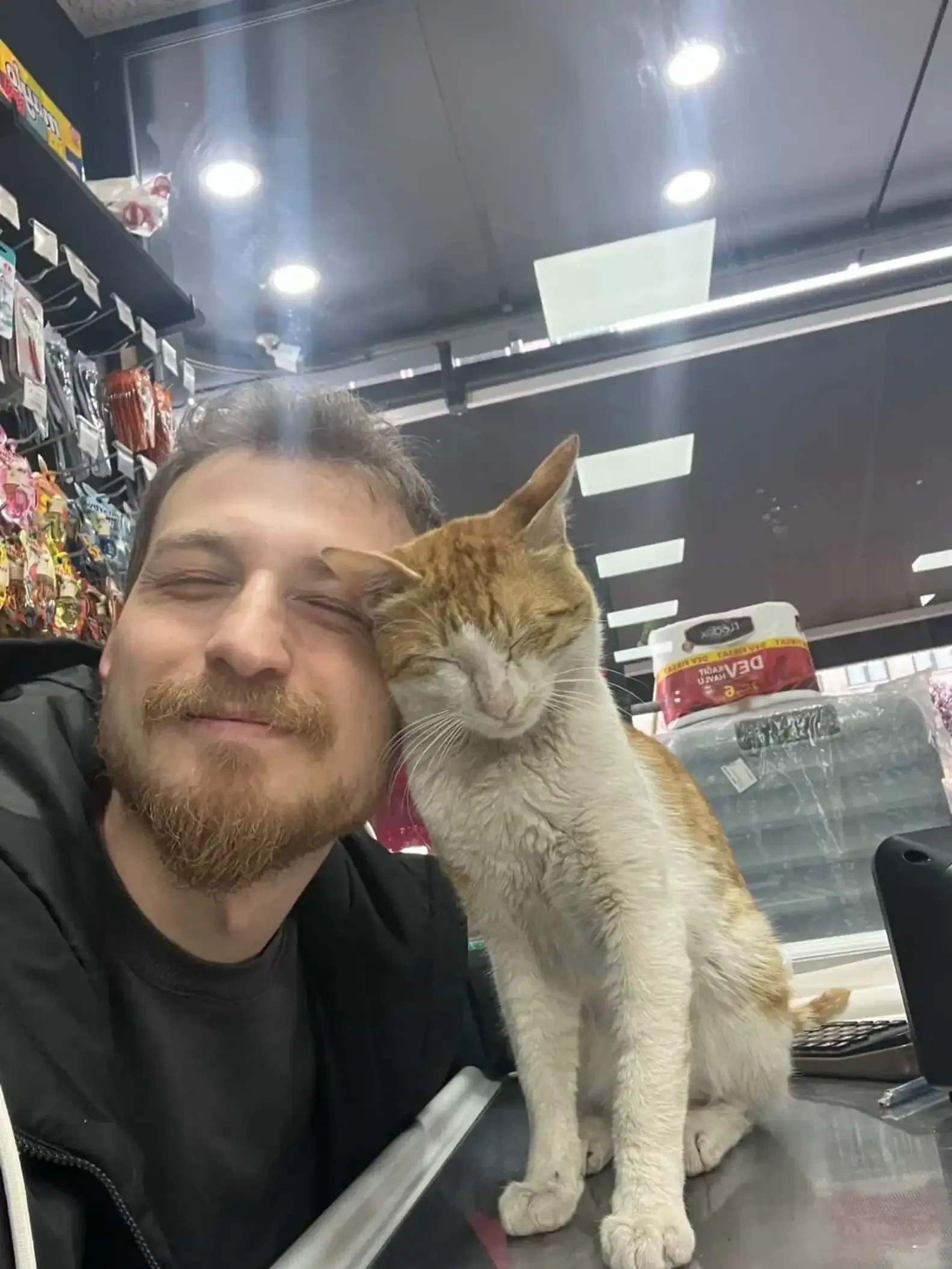店主Ferhat Hayat與貓貓Şakir的故事感動不少網民