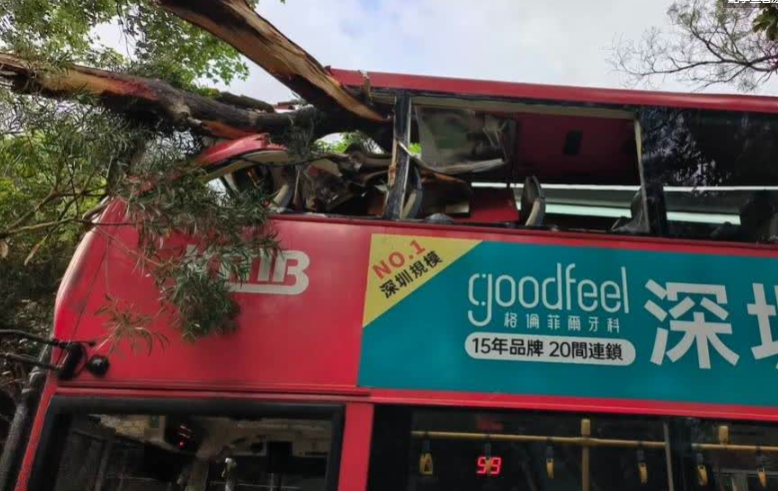 一輛路線289R九巴駛至西貢北潭路時,撞到一棵伸出馬路的樹椏。樹椏約4米長,插入上層左邊車廂,玻璃爆裂及車頂被劏開變形凹陷(網上圖片)