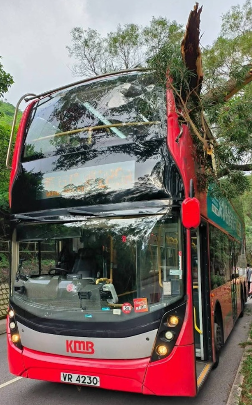 一輛路線289R九巴駛至西貢北潭路時,撞到一棵伸出馬路的樹椏。樹椏約4米長,插入上層左邊車廂,玻璃爆裂及車頂被劏開變形凹陷(網上圖片)