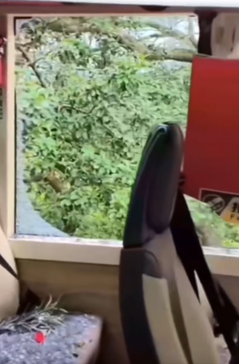 一輛路線289R九巴駛至西貢北潭路時,撞到一棵伸出馬路的樹椏。樹椏約4米長,插入上層左邊車廂,玻璃爆裂及車頂被劏開變形凹陷(影片截圖)