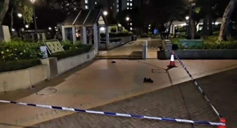 鯉景灣清潔公司主管遭伏擊扑穿頭送院,現場遺懷疑兇徒假髮。(網上截圖)