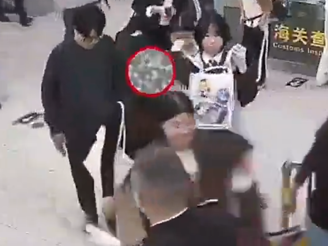 深圳皇崗海關近日在福田口岸旅檢大廳截獲一名進境女性旅客,在其隨身行李中查獲47隻活體螞蟻。(影片截圖)