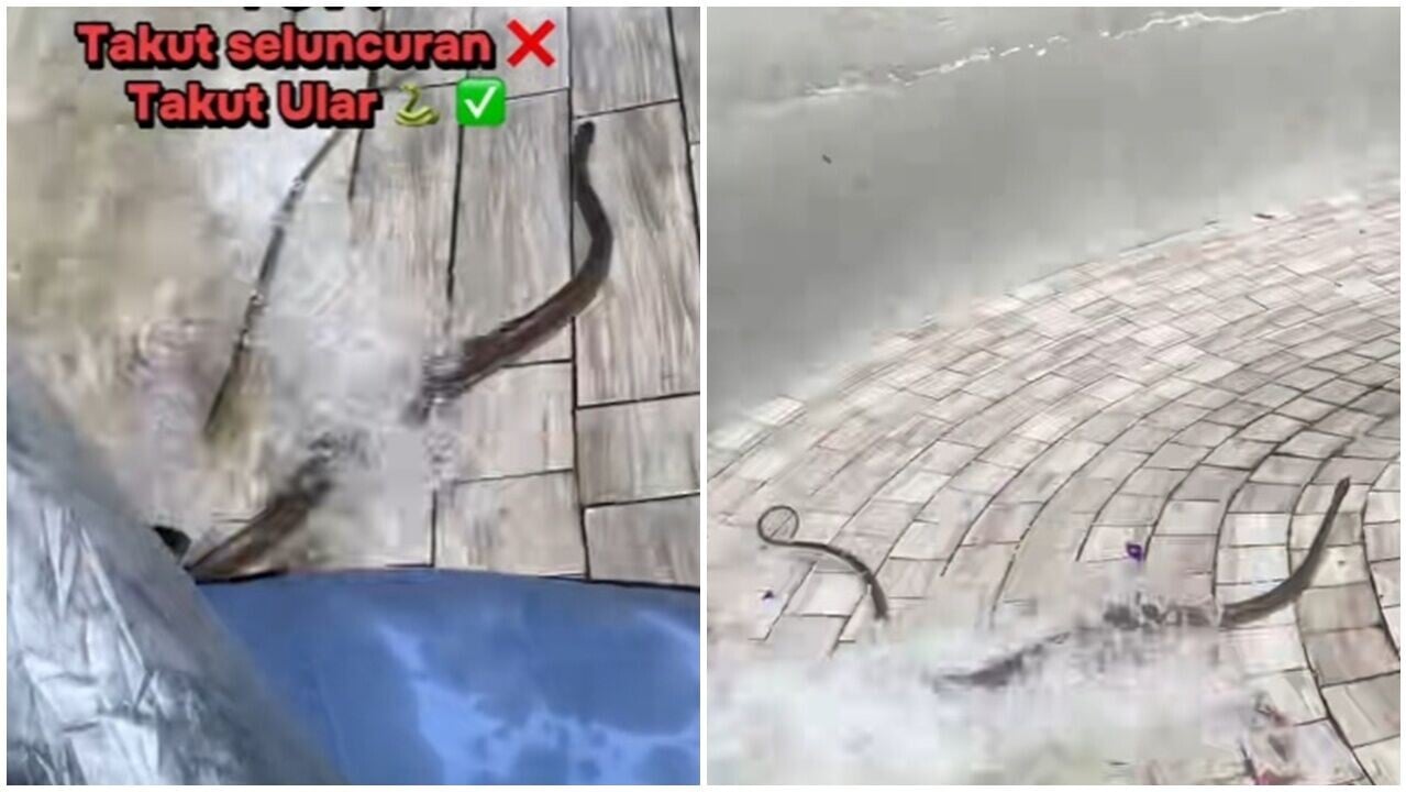 水上樂園人蛇齊齊瀡滑梯，2女全程尖叫。(TikTok)