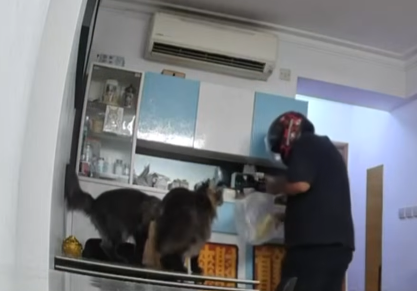 一名經營奢侈品的女事主指位於青衣家中的名牌手袋及名錶被假扮外賣員的南亞裔男子用密碼進入爆竊。(東張西望)