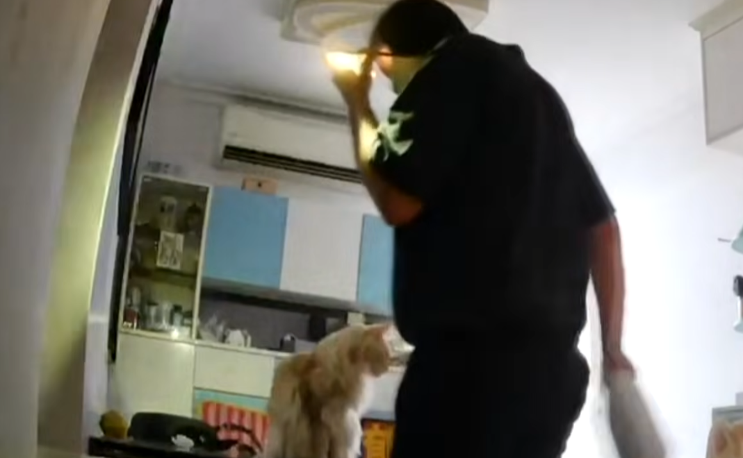 一名經營奢侈品的女事主指位於青衣家中的名牌手袋及名錶被假扮外賣員的南亞裔男子用密碼進入爆竊。(東張西望)
