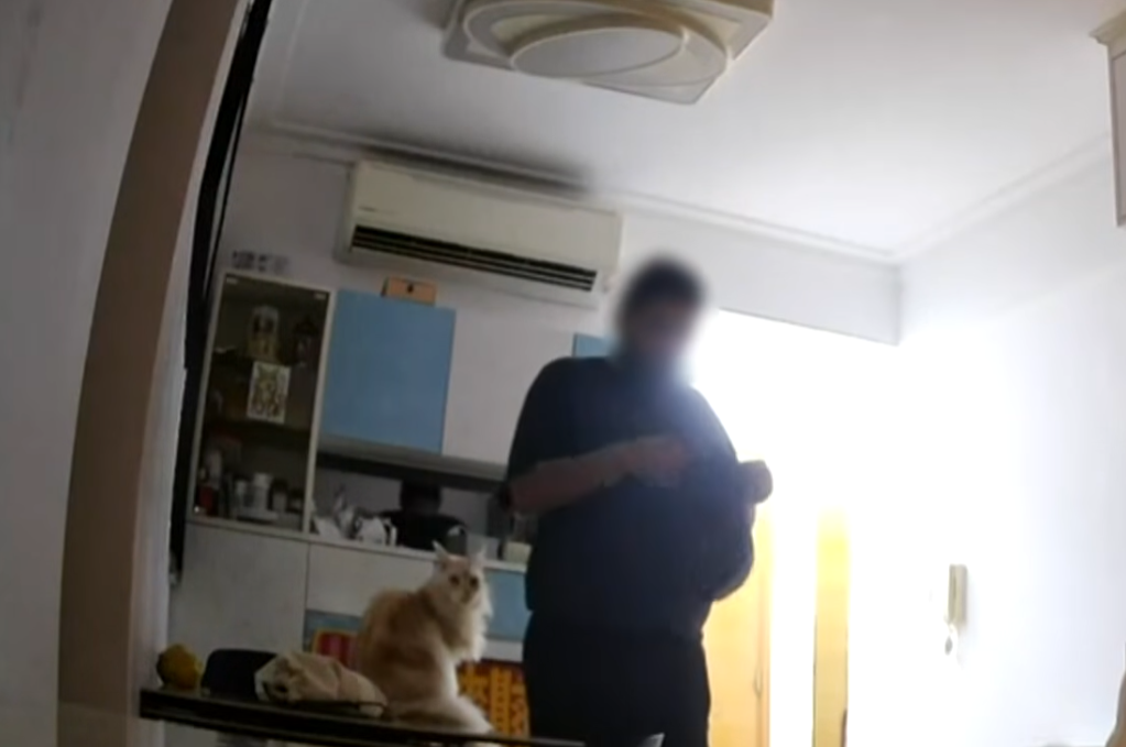 一名經營奢侈品的女事主指位於青衣家中的名牌手袋及名錶被假扮外賣員的南亞裔男子用密碼進入爆竊。(東張西望)