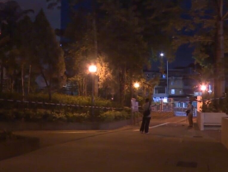 元朗夜歸女遇劫失100元被𠝹雙手,負傷逃走30米送院。(有線新聞截圖)