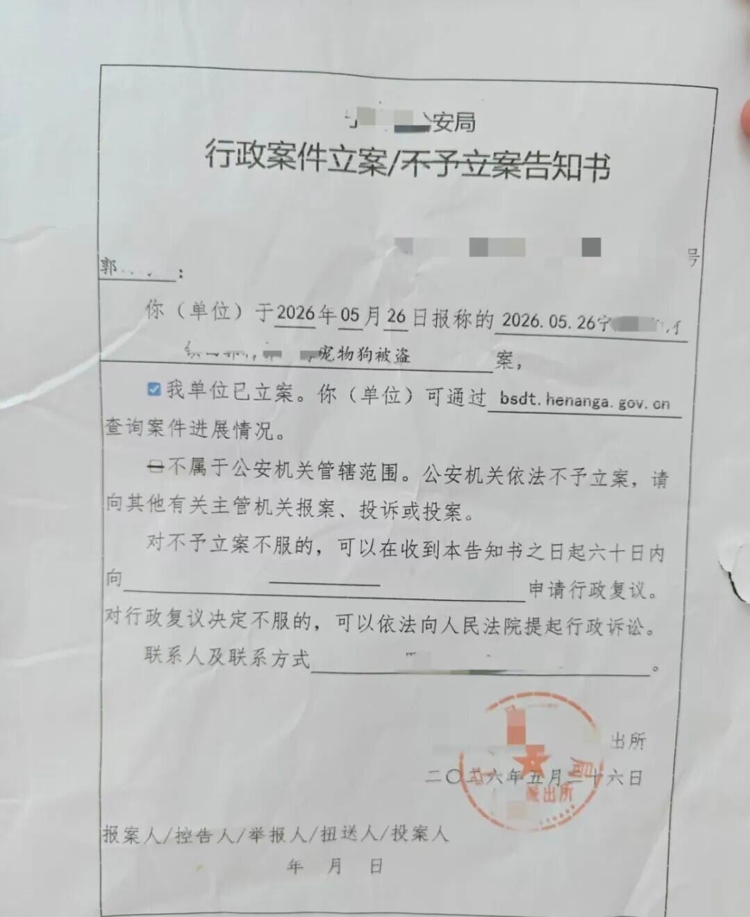 河南百萬網紅狗狗被偷賤賣宰殺 飼主:絕不和解