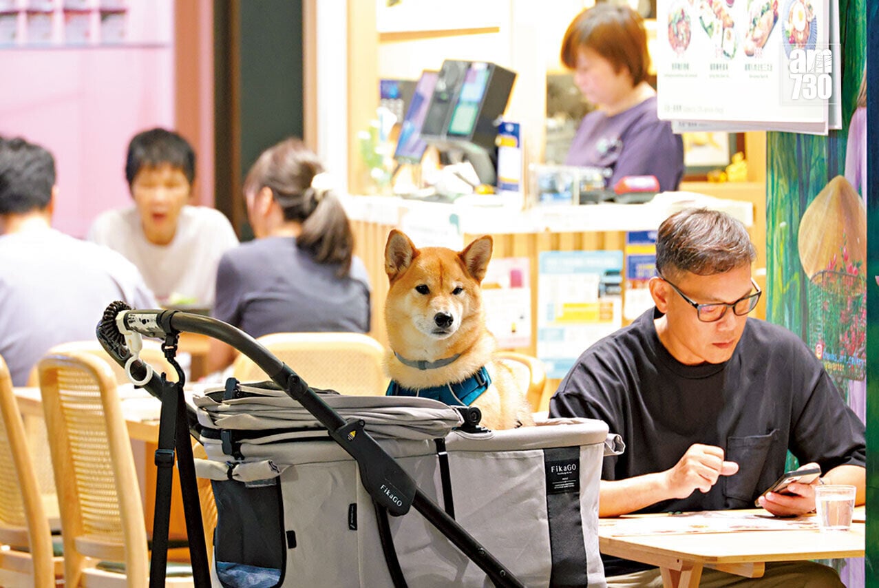 政府將容許狗隻進入獲准的食肆。(資料圖片/林俊源攝)