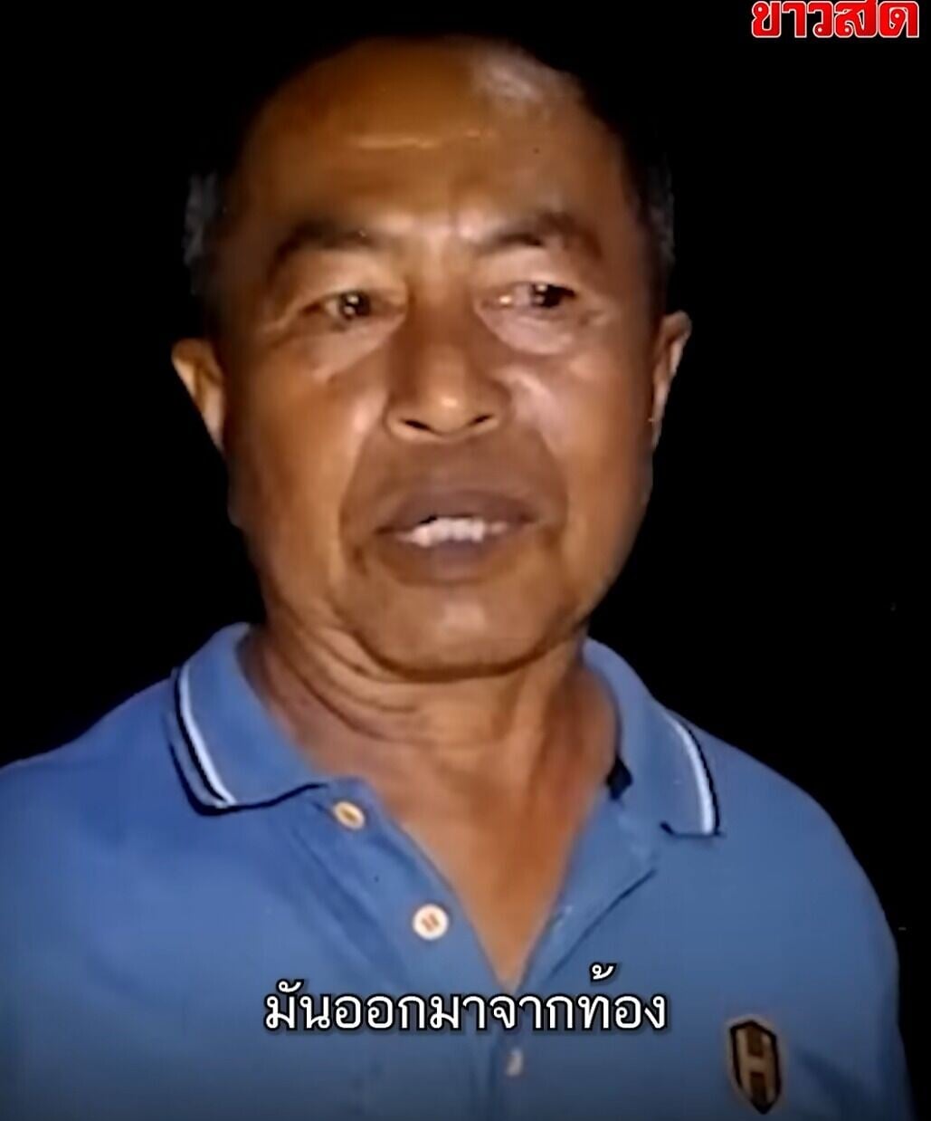 61歲男子桑倫救了多條小蛇的生命