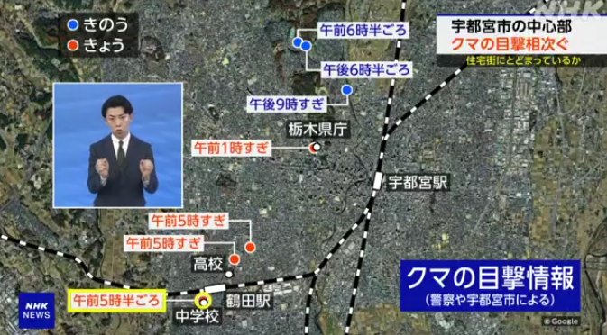 日本熊患