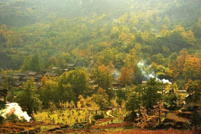 妥樂村擁有長約1,000米的古驛道,屬於茶馬古道的一部分,秋天銀杏盛開的時候,整個村落都被染上鮮艷的鵝黃色。(圖片來源:視覺中國)