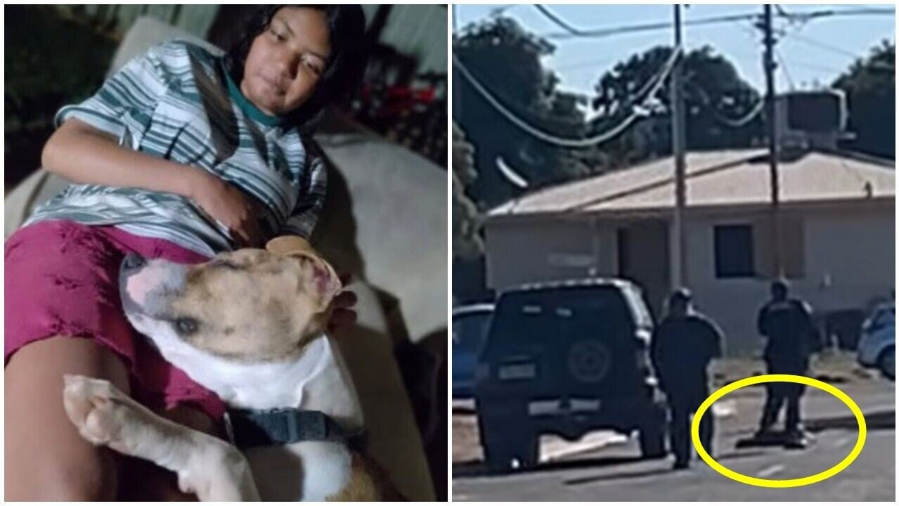 警車誤撞少女愛犬，竟即場掏槍安樂死惹爭議。