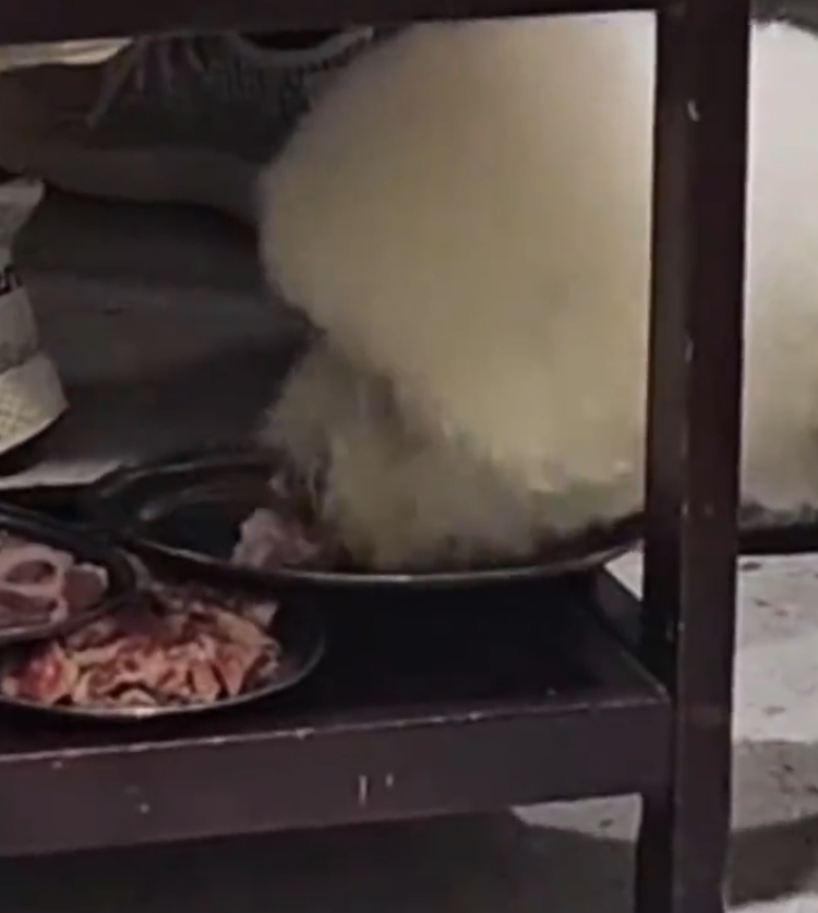 湖南省衡陽市一間烤肉店有顧客攜帶入店的寵物狗偷食鄰桌餐車上一整盤生肉,烤肉店銷毀及更換全店餐具,及停業三天整改。(影片截圖)