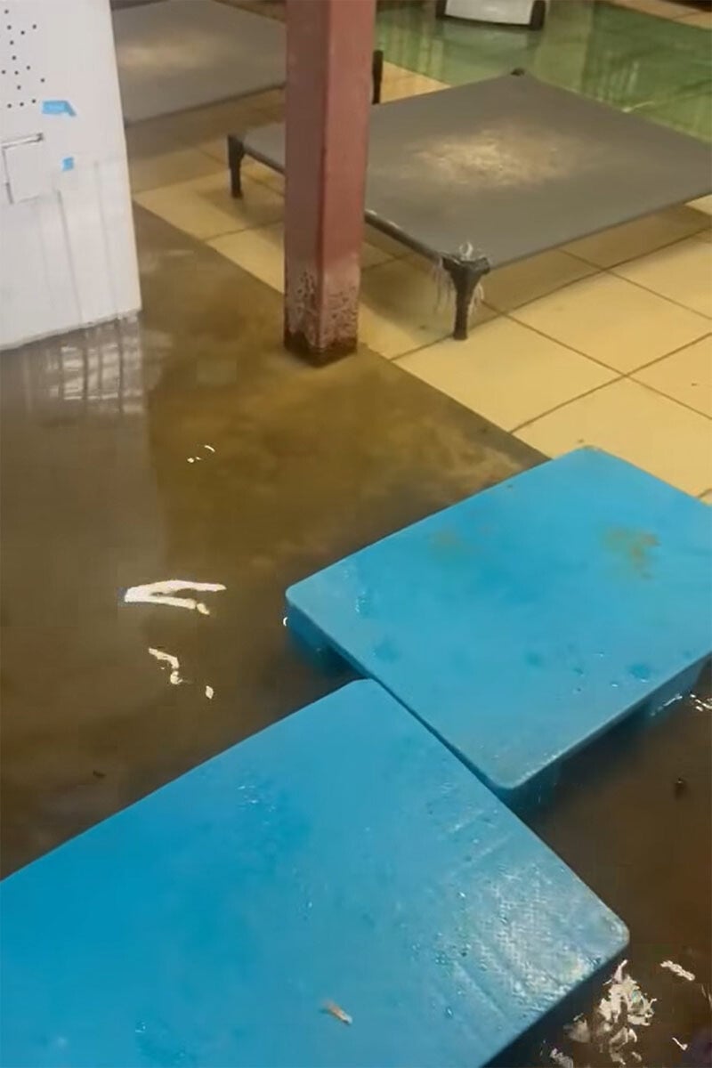 八鄉阿棍屋暴雨期間水浸。(阿棍屋FB)