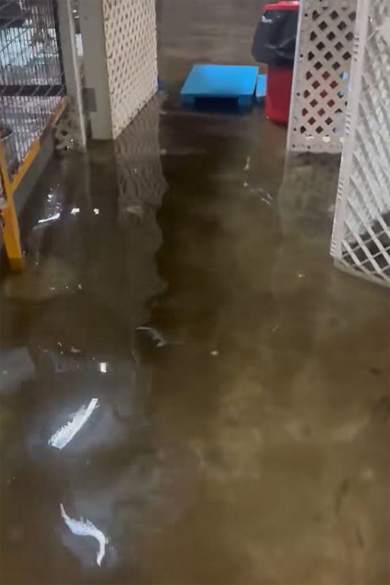 八鄉阿棍屋暴雨期間水浸。(阿棍屋FB)