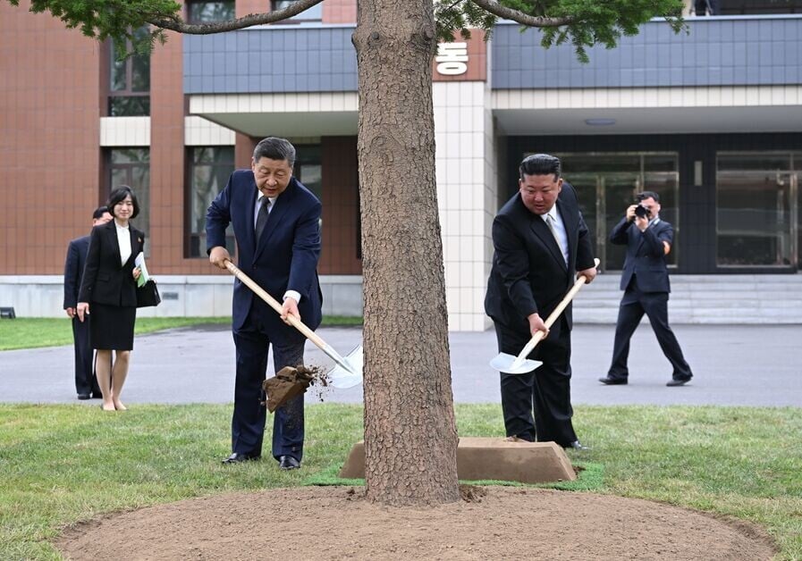 習近平在金正恩陪同下參訪位於平壤的勞動黨中央幹部學校。二人於教學樓之間的林地種了一棵樅樹,象徵中朝友誼生生不息。(新華社)