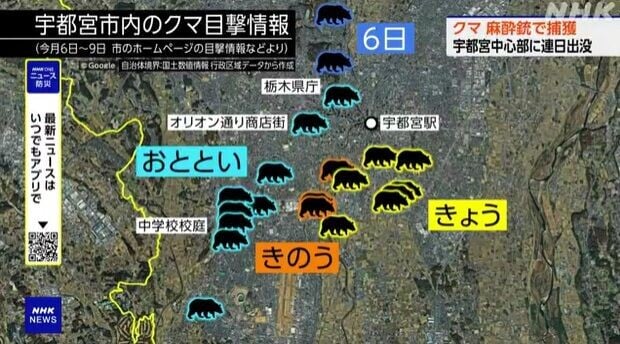 日本熊出沒