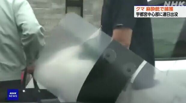 日本熊出沒