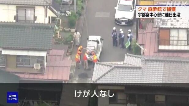 日本熊出沒