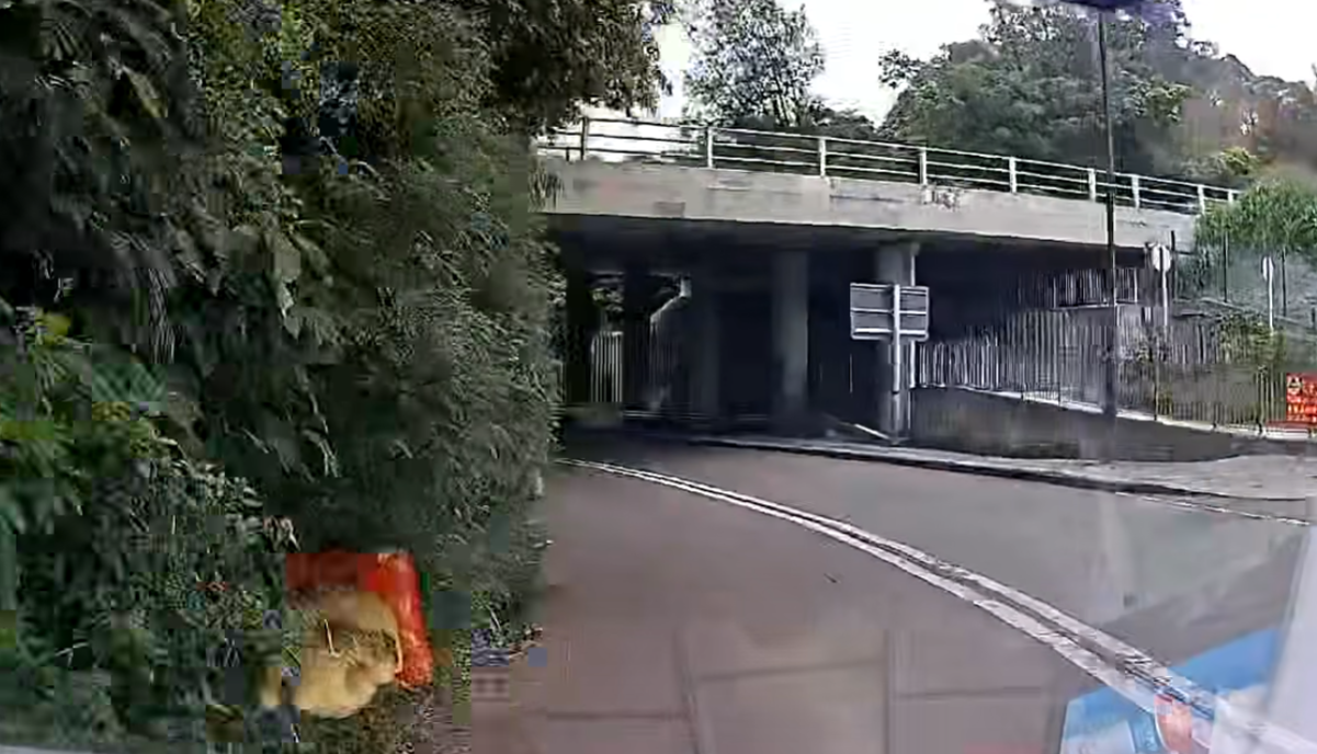 一輛車沿元朗新潭路往米埔村方向行駛期間,在一個彎位突然發見一名身穿反光衣及安全帽的工人站在馬路中央工作,幸司機及時發現並扭軚閃避。(車cam L(香港群組)FB)
