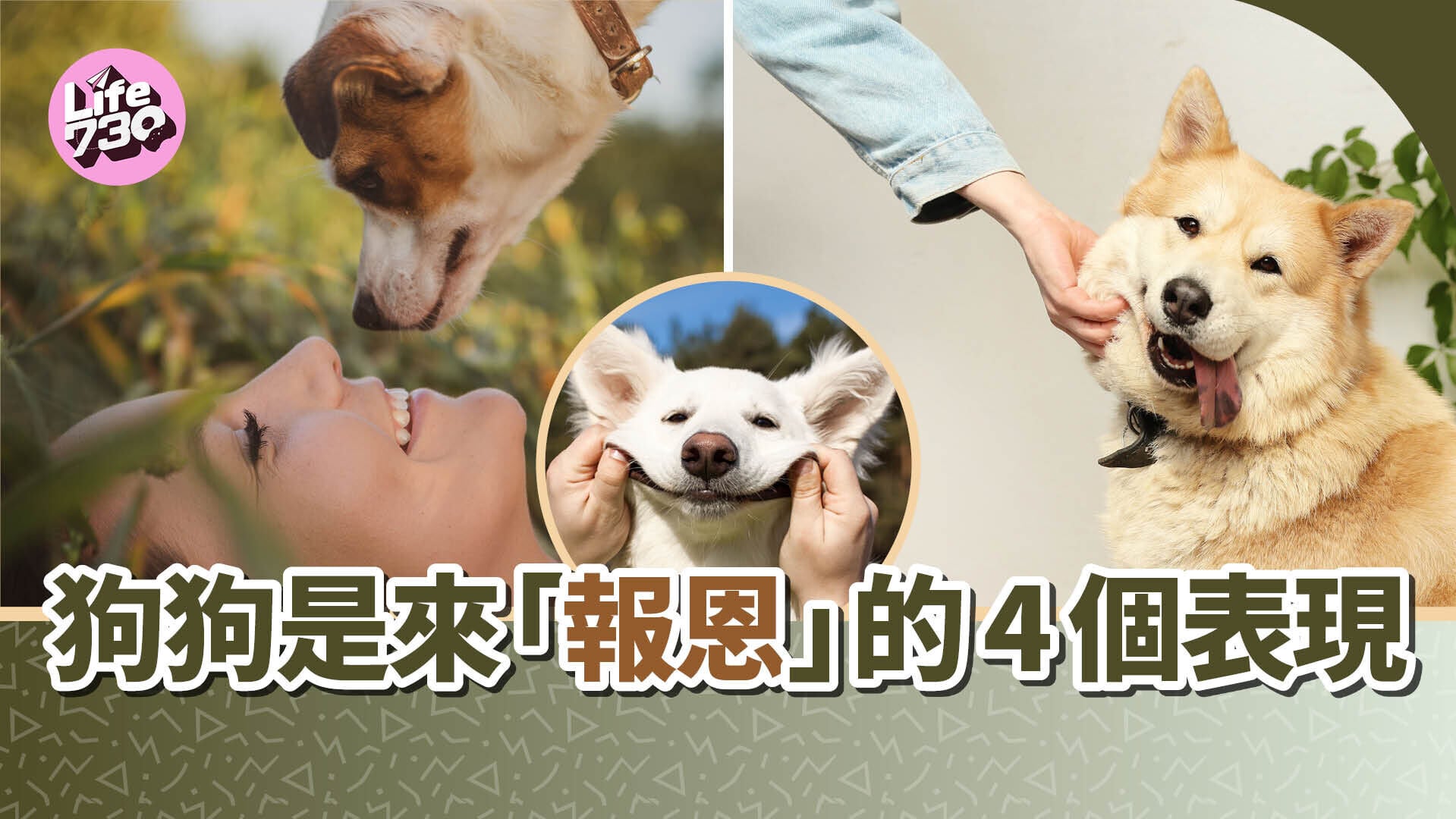 狗狗是來「報恩」嗎？愛犬做出這4個表現代表你執到寶